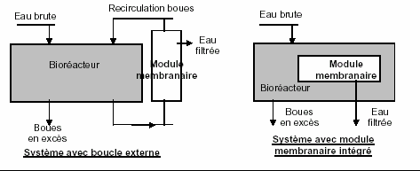 «biofilm 4». Le système MBR est donc un traitement qui combine tant les actions épuratrices de la filtration que celles de l activité microbiologique.