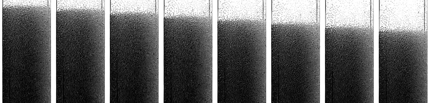 8 INTRODUCTION fluide clair suspension Fig. 3 Images successives d une suspension de sphères de verre (diamètre 0.3 mm) en sédimentation dans un tube à essai rempli d huile silicone.
