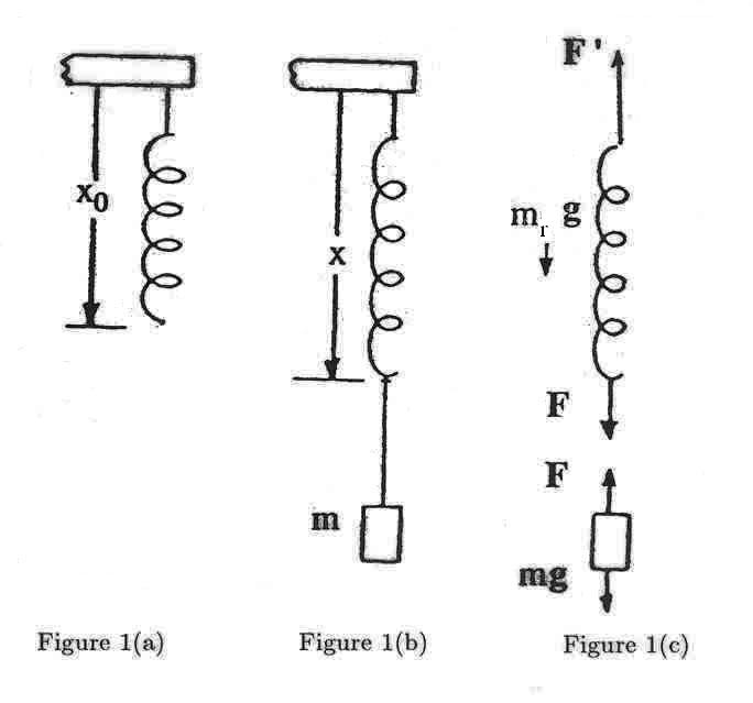 PHYSQ 130: Hooke 1 LOI DE HOOKE: CAS DU RESSORT 1 Introduction La loi de Hooke est fondamentale dans l étude du mouvement oscillatoire.