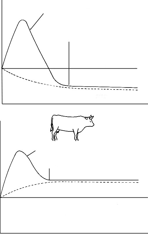Figure 6 : Evolution des taux de cortisol plasmatique chez des vaches adultes soumises à des températures extrêmes, en dehors des périodes de lactation (d après les résultats de JOHNSON et VANJONACK,