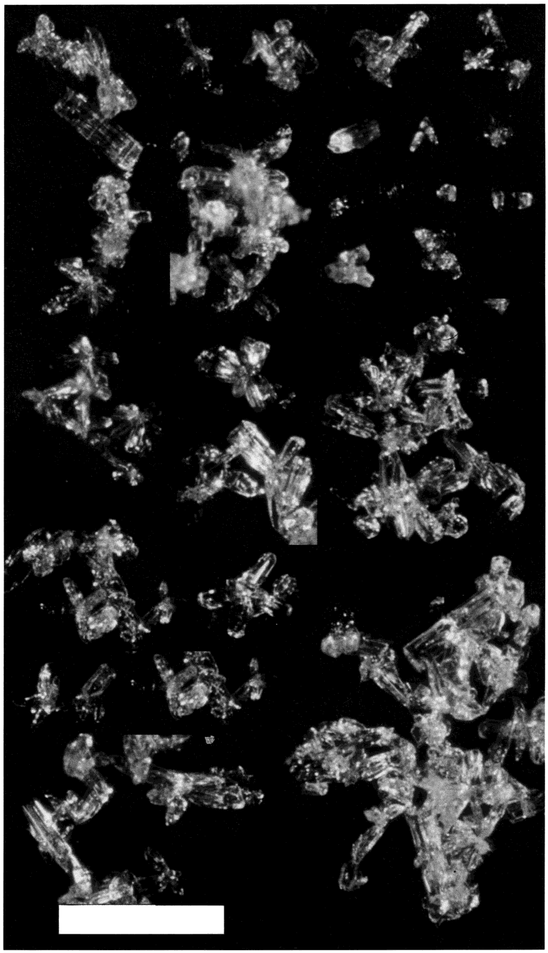 FIGURE 5. Composite optical microscopy picture of diamond dust crystals from sample 3. Scale bar: 1 mm. CH 4 adsorption and OM for three samples (Table 2) can be misleading.
