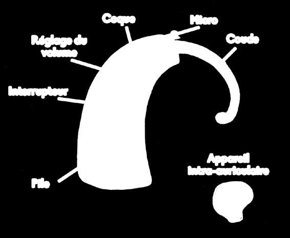 Les appareils auditifs La prothèse auditive L appareil auditif augmente le volume des sons pour qu ils soient mieux entendus.