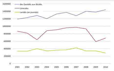 Évolution des effectifs d oiseaux d eau par groupe entre 2001 et 2010 en France (Source : A.