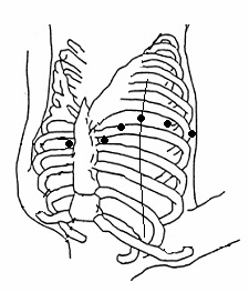 Comme le montre la figure suivante, la position des électrodes poitrine sur le corps est la suivante: C1 : quatre espaces intercostaux à droite du sternum C2 : quatre espaces intercostaux à gauche du