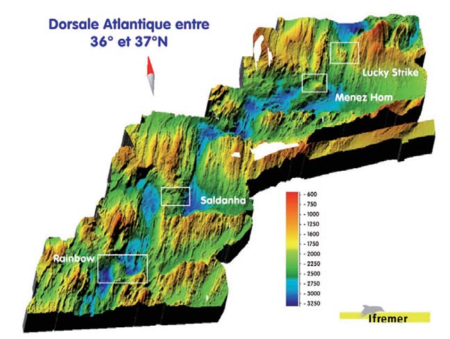 Figure 22 Sites hydrothermaux le long de la dorsale Atlantique dans le sud des Açores.