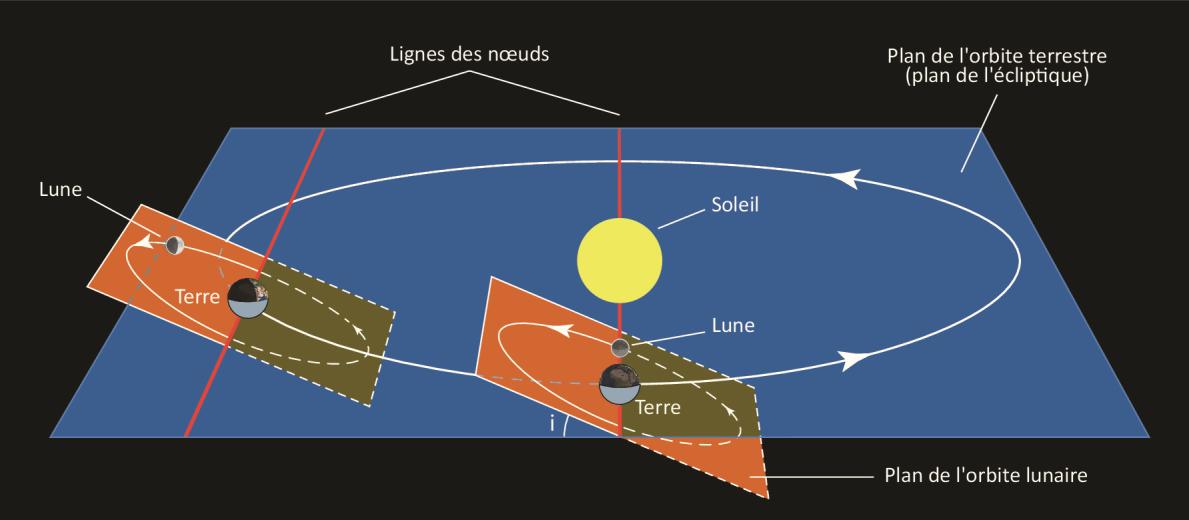 Le Soleil avance sur l écliptique vers l est d environ 1 par jour, les nœuds de l orbite lunaire rétrogradent vers l ouest : ainsi, tous les 173,31 jours en moyenne, le Soleil franchit un nœud (fig.