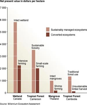 page 35/90 Annex 7: Box 2.2. Economic Costs and Benefits of Ecosystem Conversion Relatively few studies have compared the total economic value of ecosystems under alternate management regimes.
