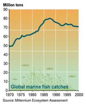 page 48/90 Annex 21: Figure 3.14. Estimated Global Marine Fish Catch, 1950 2001 (C18 [see Annex 4, p. 33] Fig 18.