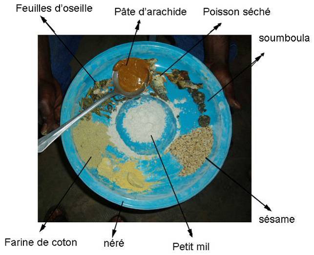 Figure 6: ingrédients présentés au CREN de Gondogolo (Burkina Faso) 5.