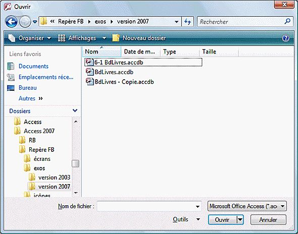L extention accdb peut être visible ou invisible selon que l option correspondante est active ou non dans Windows.