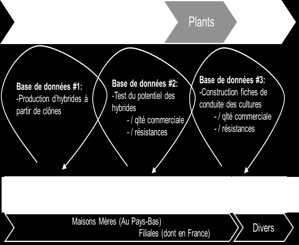 Deux modèles de construction des bases de connaissances en France (3/3) le