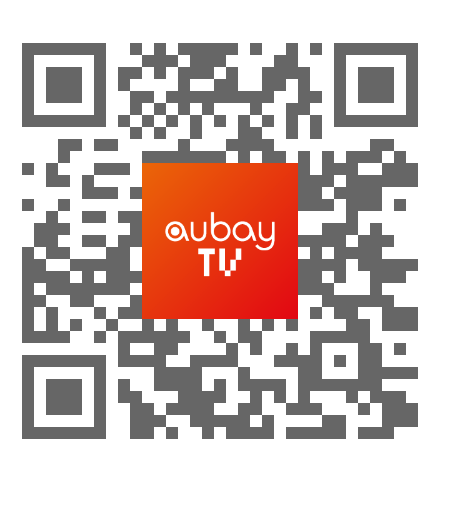 Aubay & le numérique : conseil IT & métier et intégration de systèmes d
