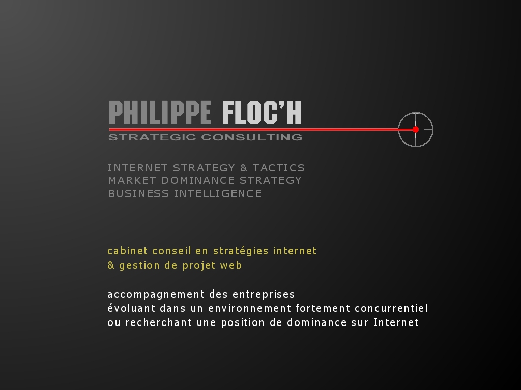 2004-2008 Philippe FLOC H Strategic Consulting Tous droits