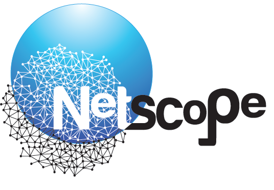 À propos de «Netscope Présidentielle 2012» Depuis début 2011, «Netscope Présidentielle 2012» (institut parisien et montpelliérain) a fourni des données et des éléments d analyses à différents