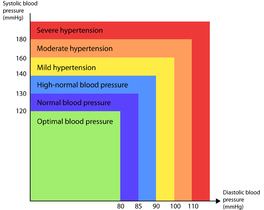 About blood pressure Blood pressure (BP) is the pressure exerted by circulating blood upon the walls of blood vessels, and is one of the principal vital signs.