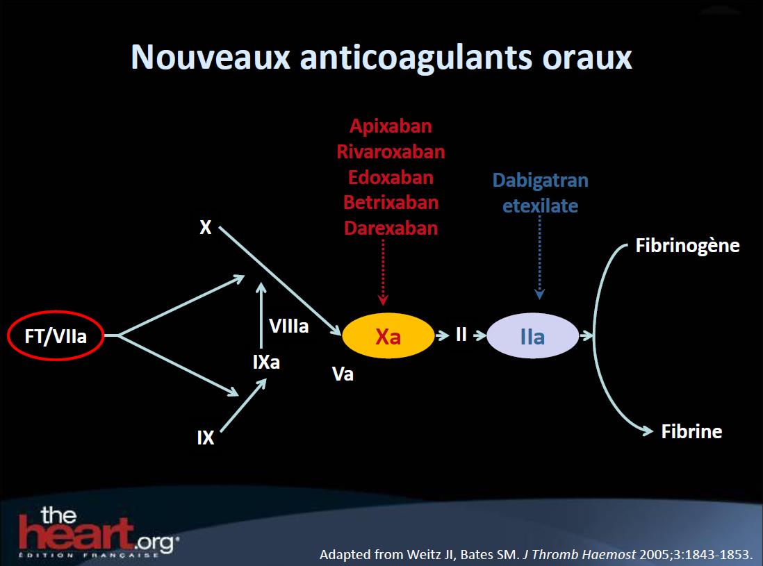 Le Médicament Anticoagulant 18) Eclairage sur les nouveaux anticoagulants oraux Xarelto (rivaroxaban, 2008) inhibiteur direct du