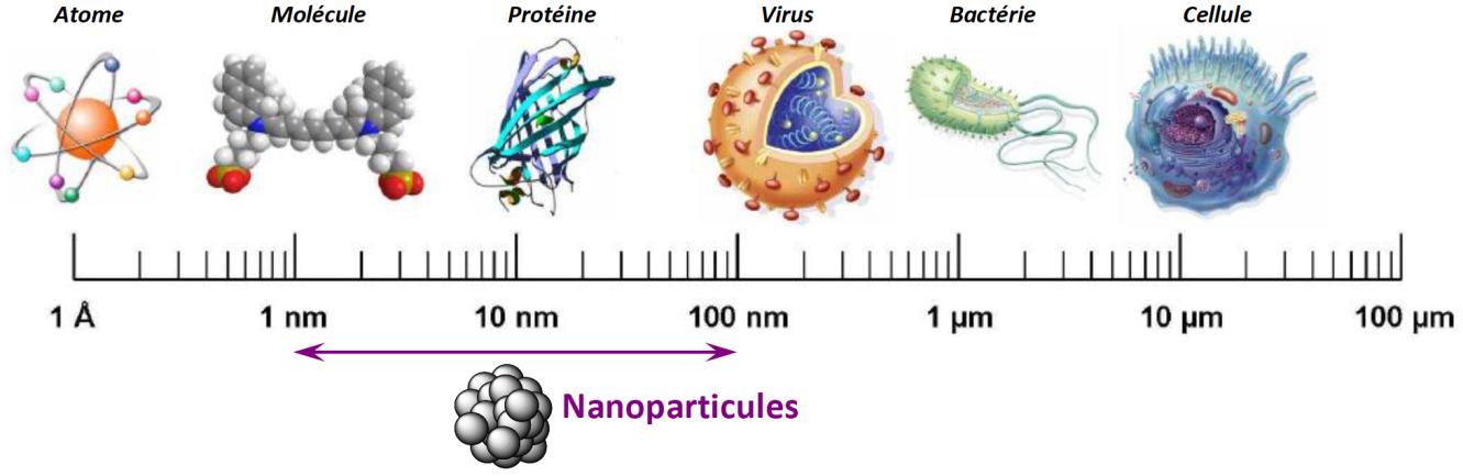 III/ Activité documentaire. Dossier : «Usage des nanoparticules en catalyse pour préserver l environnement».