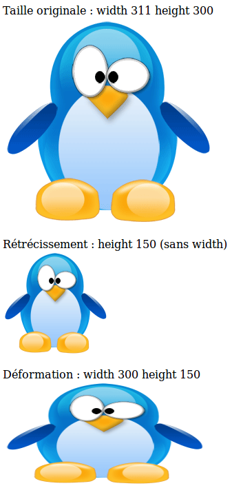 Exemple <p> Taille originale : width 311 height 300 <br /> <img src="penguin2.