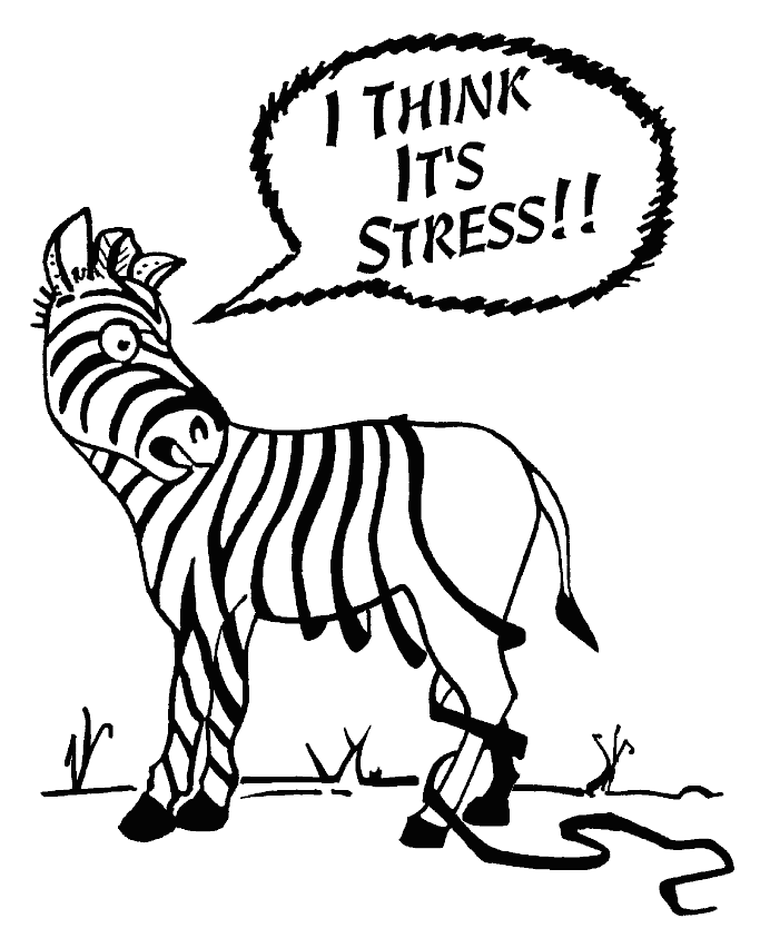 Qu est-ce que le stress?