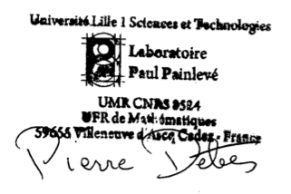 Laboratoire Paul Painlevé (http://math.univ-lille1.fr/bourses/index.html) and of the Labex CEMPI (http://math.univ-lille1.fr/~cempi).