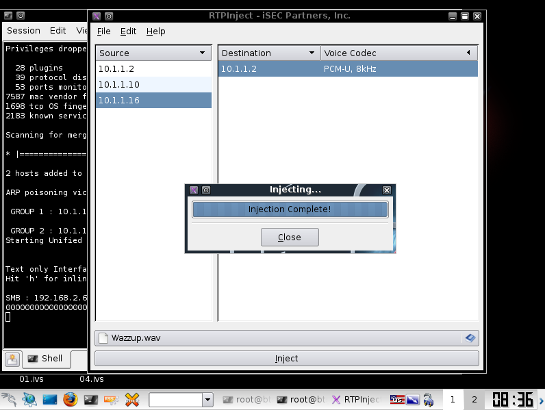 Injection de flux audio (RTP) Capture d'écran du logiciel