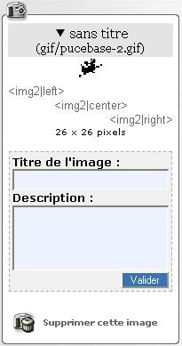 Spip Pratique 1.9 - Fabriquer son site web avec Spip 1.9x Illustration 3-37 : on peut préciser des paramètres pour l'image téléchargée.