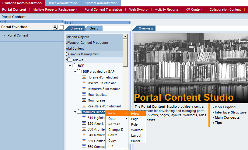 Figure 83 Intégration NetWeaver Portal - Création d'une iview 8.5.