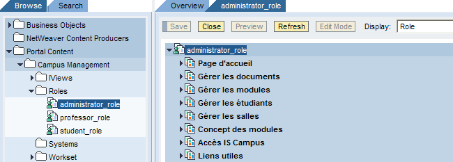 8.8.2 Rôle professeur L objet professor_role contient sept worksets. Dans le portail, il représente des onglets permettant d accéder aux différentes fonctionnalités disponibles pour les professeurs.