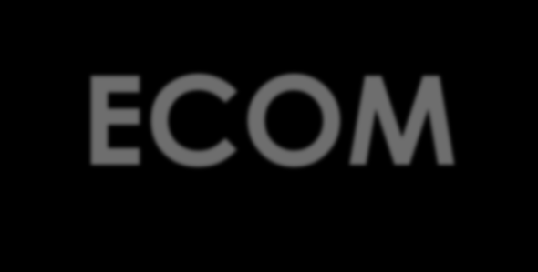 Mastère professionnel en commerce électronique ECOM Coordinateur: