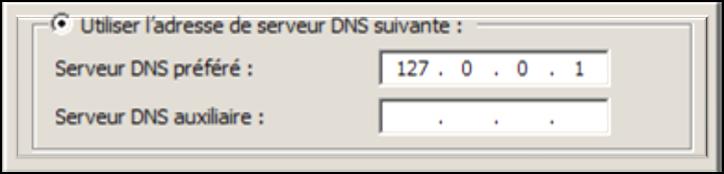 lors du "nslookup", l'adresse est : ::1 Puis dans le Service DNS, il faudra faire une nouvelle