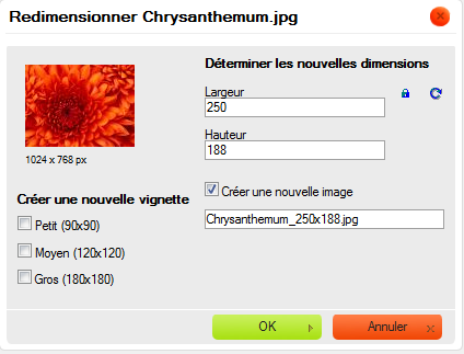 Ensuite vous n avez plus qu a entrez la nouvelle taille de votre image. Dans ce cas, vous vous retrouverez avec deux images : Chrysanthemum.