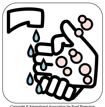 Un lavage hygiénique des mains (ou une désinfection des mains par friction) est indispensable avant toute manipulation directe ou indirecte des repas.