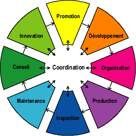 LE TEAM MANAGEMENT SYSTEM, PHASE 1 Le TMS s appuie sur les 8 fonctions clés dans le travail, réparties sur l ensemble de l organisation Conseiller : Rechercher et diffuser l'information Innover :