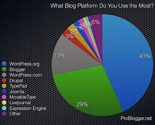 blogueurs US en 2008 (ProBlogger) 33% sur un
