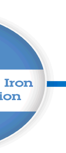 Solution Cast Iron utilisé pour intégration bidirectionnelle et temps-réel Les étapes clé de l intégration : Extraction des factures, commandes depuis SAP vers SFDC Synchro Customer et Product