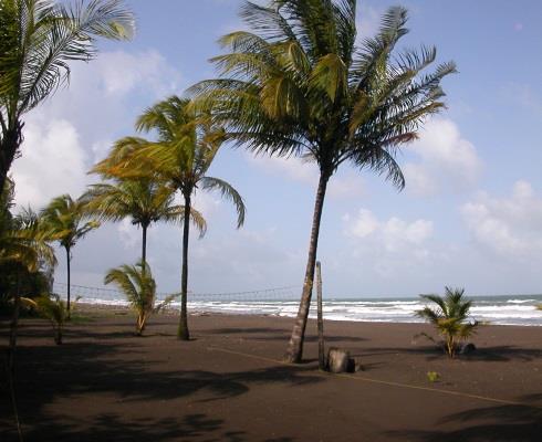 Costa Rica : Globe Trotter A partir de 2 040 * 13 jours / 11 nuits Découvrez les richesses de la faune et de la flore du Costa Rica en passant par les volcans Irazu et Arenal, les plages de sable