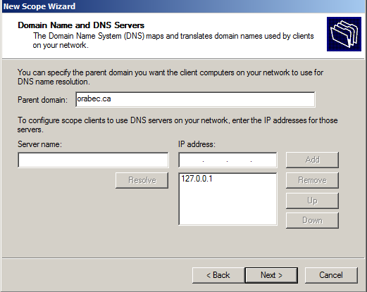 Si vous utilisez un serveur DNS, saisir le nom du serveur puis cliquez sur Résoudre.