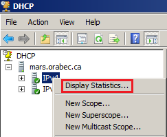 1.10 Statistiques Les statistiques sont utiles pour la surveillance de vos étendues ou de votre serveur DHCP.