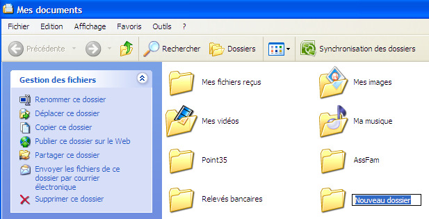 Exemple 1 : Dans cette nouvelle fenêtre «Mes documents», cliquer sur «Créer un nouveau dossier», dans la colonne gauche.