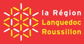 OPAH - RU de CASTELNAUDARY DOSSIER D'INFORMATION PROPRIETAIRES OCCUPANTS La Ville de Castelnaudary, soutenue par l Anah, la Région Languedoc-Roussillon, le Département de l Aude,