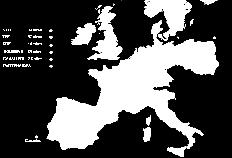 Figure 1.2 Localisation des sites TFE en Europe en 2007 entre la Corse et le continent. Le pôle transport TFE livre 100.000 destinataires réguliers par semaine.