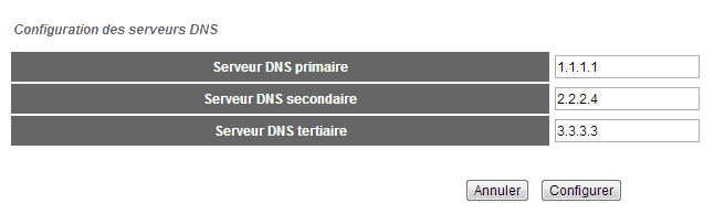 Dans ce menu vous pouvez paramétrer jusqu à trois serveur DNS.