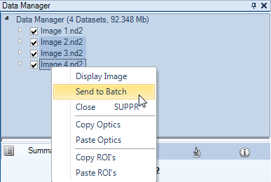 19. La fenêtre «3D Deconvolution» se transforme alors en fenêtre «Batch Viewer». Copie(s) d'écran 14 : Fenêtre «Batch Viewer» 20. Retournez dans la fenêtre de gauche («Data Manager»).