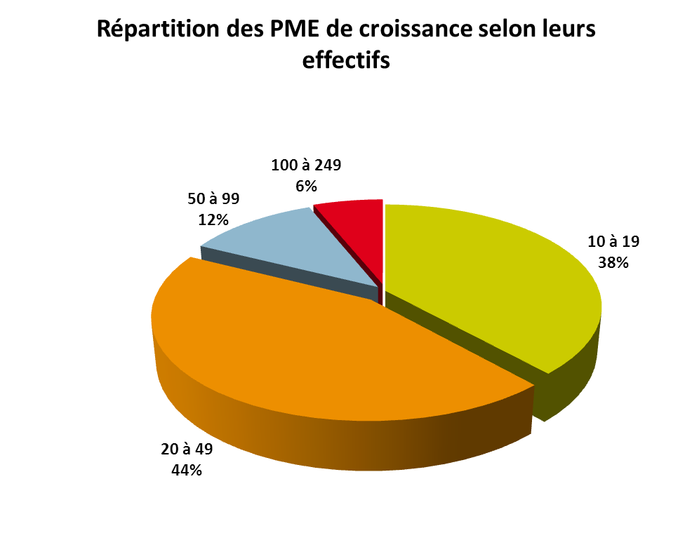 20 164 PME de croissance identifiées dans l économie française 20% des PME du tissu des entreprises françaises sont des PME de croissance La France compte 100 900 PME [1] indépendantes parmi