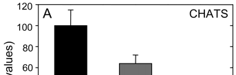 Figure 3. 13 NO 3 influx by CHATS and IHATS. A, 13 NO 3 influx due to CHATS in wild-type and Atnrt3.1 mutants as percentages of wild-type fluxes.
