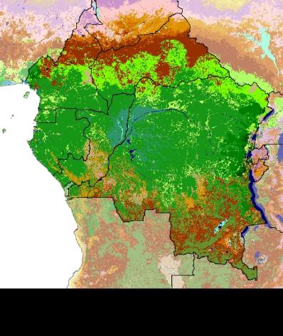 Harmonisation des politiques forestières et fiscales en Afrique centrale : Défis et perspectives Système de communication du réseau COMIFAC Une Stratégie