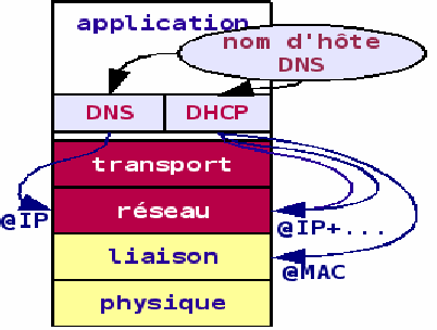 23/25 Dynamic Host Configuration Protocol Relations DNS & DHCP Le nom d hôte sert de lien entre les 2 services Côté serveur DNS : RR de l hôte rubis $ORIGIN lan.stri. rubis A 19
