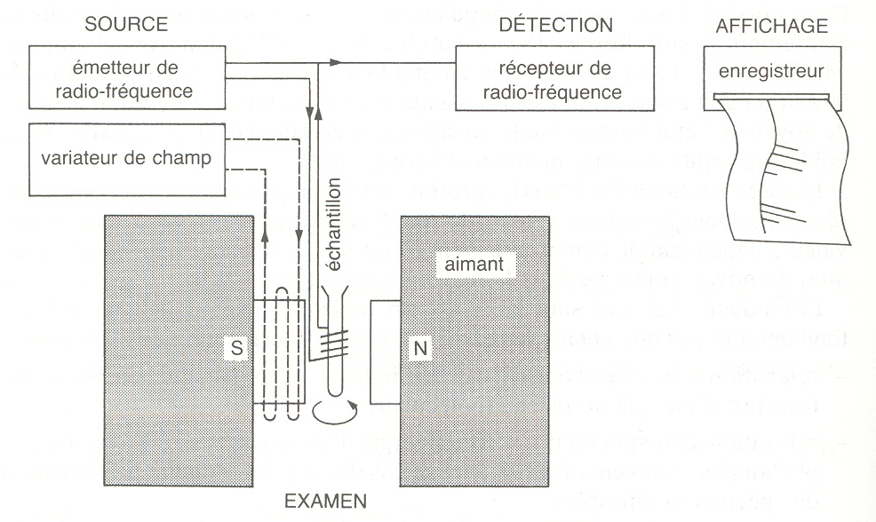 Résonance Magnétique Nucléaire : RMN 21 Le champ directeur H est obtenu au moyen d un aimant ou d un électroaimant. On le fait varier de façon continue à l aide d un générateur de balayage.