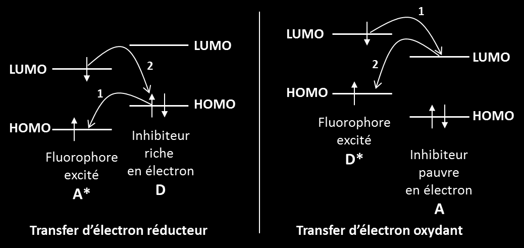 Figure 1-3 : Schémas de principe des transferts d électron réducteur (à gauche) et oxydant (à droite) Un excimère est un dimère à l état excité.