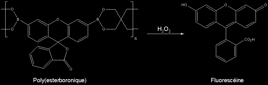 Figure 6-6 : Méthode de détection développée par Trogler et al. c) Dispositif FIDO PAX POINT Dans la lignée du dispositif FIDO permettant la détection de composés nitroaromatiques (Cf.